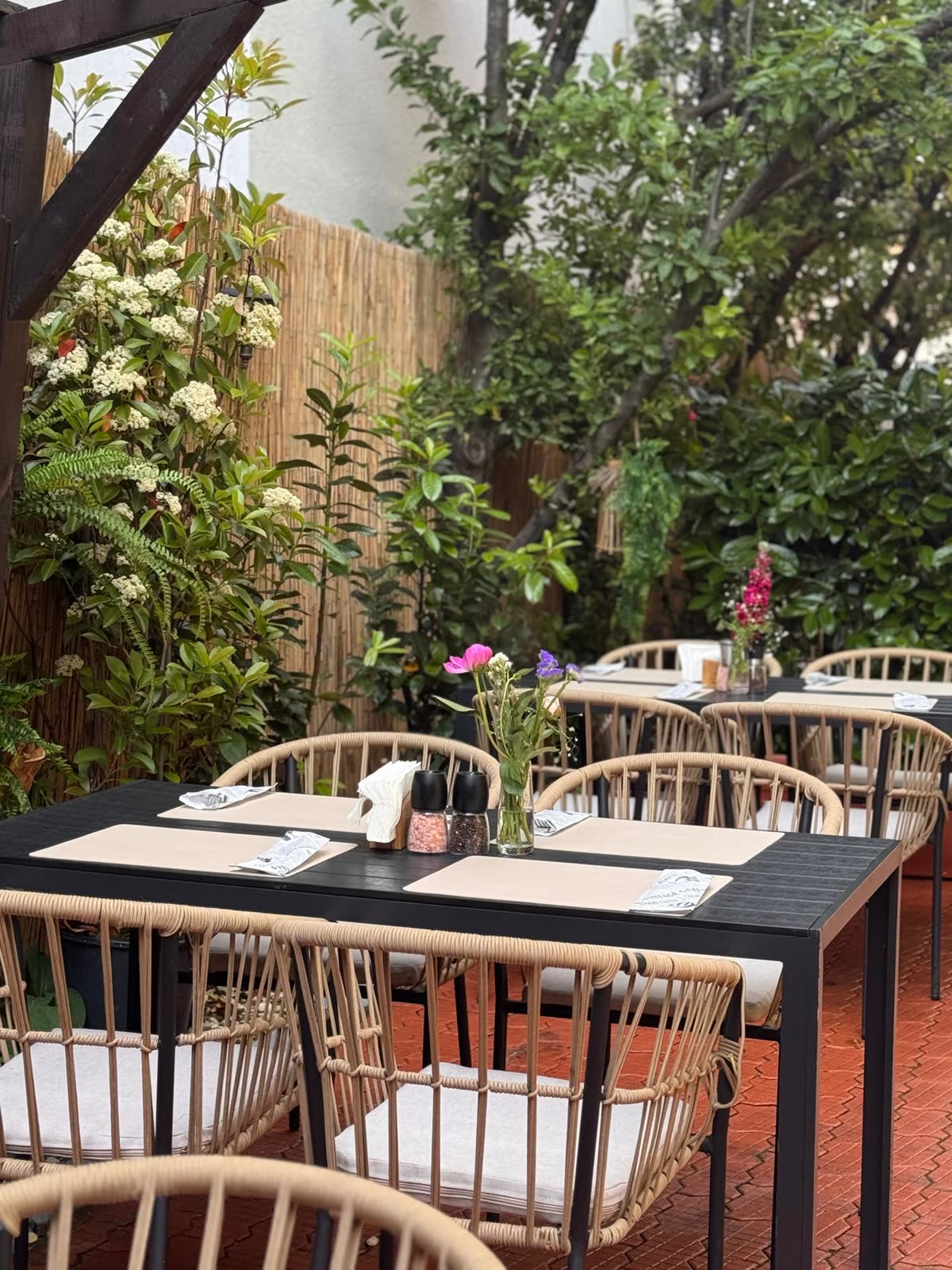 Mese cu flori în grădina Rare Garden, între gard de stuf și plante